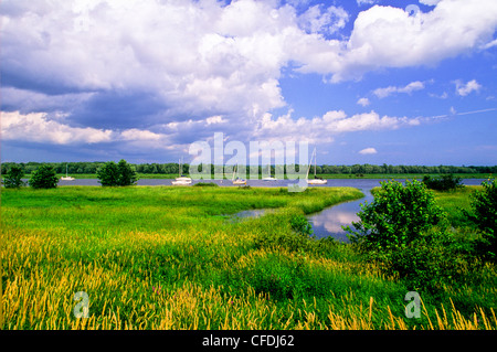 Barche a vela ancorata, Gagetown, fiume Saint John, New Brunswick, Canada Foto Stock