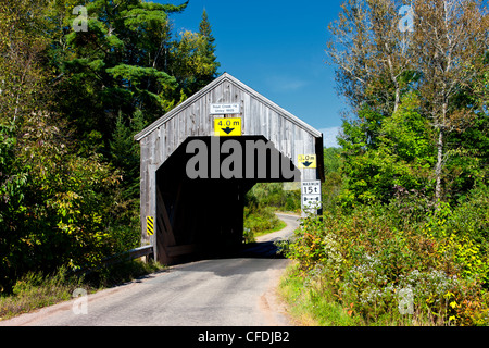 Trout Creek # 4 ponte coperto, Urney, New Brunswick, Canada Foto Stock