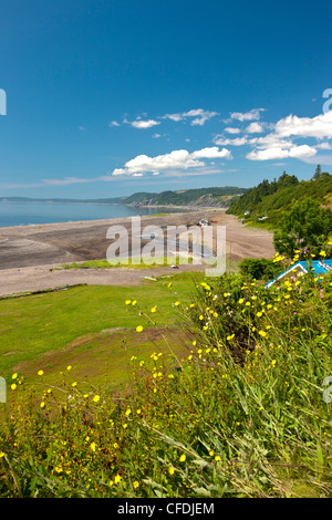 Costa, Porto Greville, Baia di Fundy, Nova Scotia, Canada Foto Stock