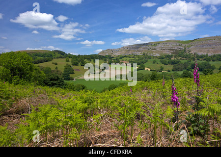 Vista verso la scarpata di calcare di Creigiau Eglwyseg, da Castell Dinas Bran, Llangollen, Denbighshire, Wales, Regno Unito Foto Stock