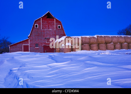 Il vecchio fienile e rotonde balle di fieno, vicino a Bruxelles, Manitoba, Canada Foto Stock