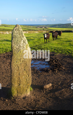 Gli uomini Scryfa pilastro con iscrizione, Madron, Lands End Penisola, Cornwall, England, Regno Unito Foto Stock