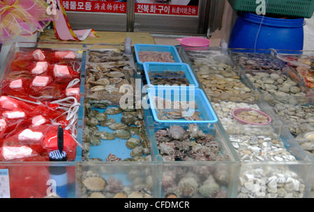 Mercato del Pesce di Busan, Corea del Sud. Foto Stock