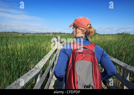 Donna escursionismo sulla passerella di legno in Grassy Narrows Marsh. Isola Hecla Parco Provinciale, Manitoba, Canada. Foto Stock