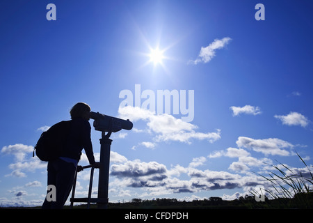 Donna che guarda attraverso un telescopio, bird watching, erboso si restringe Marsh, Hecla Isola Parco Provinciale, Manitoba, Canada. Foto Stock