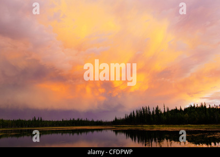 La foresta boreale tramonto, Yellowknife dintorni, Territori del Nord-ovest, nord del Canada Foto Stock