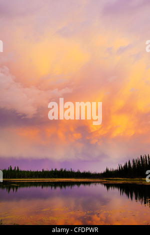 La foresta boreale tramonto, Yellowknife dintorni, Territori del Nord-ovest, nord del Canada Foto Stock