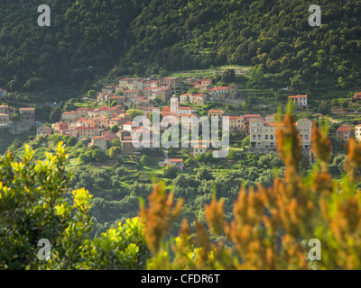 Vista di Ota, villaggio di montagna, Porto, Corsika, Francia Foto Stock