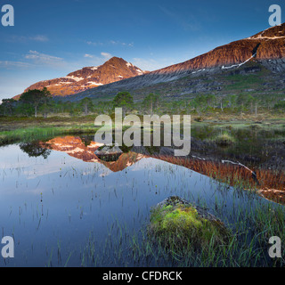 La riflessione di montagna nel lago Sandholmvatnet, Kobbenestinden mountain in background, vicino Skjellneset, Forsahavet, Ballangen, Foto Stock