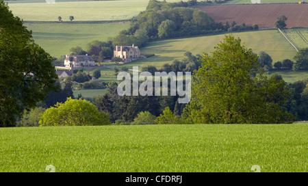 Cotswold campagna vicino a Chipping Camden, il Costwolds, Gloucestershire, England, Regno Unito, Europa Foto Stock