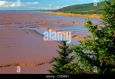 Daniels appartamenti, bassa marea, Baia di Fundy, Oceano Atlantico, Hopewell, New Brunswick, Canada Foto Stock