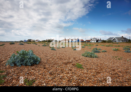 Un giorno di estate in strada di ciottoli, Suffolk, Inghilterra, Regno Unito, Europa Foto Stock