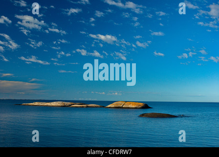 Insediato a Porto, Franklin Isola, Parry Sound, Geogian Bay, il Lago Huron, scudo canadese, Ontario, Canada Foto Stock