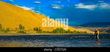 Pesca a mosca sul fiume Thompson, British Columbia, Canada Foto Stock