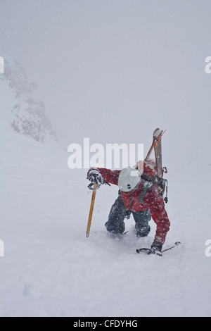 Un uomo di mezza età bootpacks fino la famosa Aemmer coulior su Mt tempio, il Lago Louise, il Parco Nazionale di Banff, Alberta, Canada Foto Stock