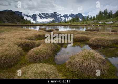 Tarn a Monica Prati, Purcell montagne, British Columbia, Canada Foto Stock