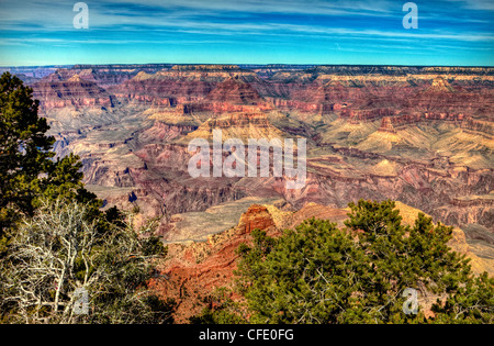 Grand Canyon South Rim, Arizona, Stati Uniti d'America Foto Stock