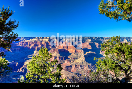 Grand Canyon South Rim, Arizona, Stati Uniti d'America Foto Stock