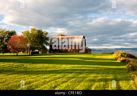 Fienile in legno, Paul, Acadian Costa, New Brunswick, Canada Foto Stock