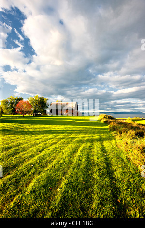 Fienile in legno, Paul, Acadian Costa, New Brunswick, Canada Foto Stock