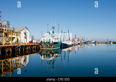 Flotta peschereccia Ormeggiata al pontile, Caraquet, New Brunswick, Canada Foto Stock