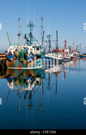 Flotta peschereccia Ormeggiata al pontile, Caraquet, New Brunswick, Canada Foto Stock