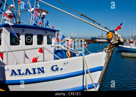 Flotta peschereccia Ormeggiata al pontile, Caraquet, New Brunswick, Canada Foto Stock