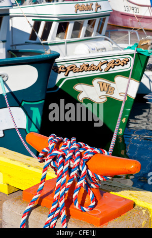 Barca da pesca su Southside di San Giovanni Porto, Terranova, Canada Foto Stock