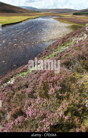 Area di Braemar, Scozia. Vista del fiume Dee guardando ad ovest dalla Linn di Dee zona ponte. Foto Stock