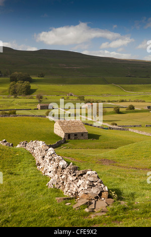 Regno Unito, Inghilterra, Yorkshire, Wensleydale, muri in pietra a secco e di campo di pietra fienili in terreni agricoli Foto Stock