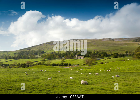 Regno Unito, Inghilterra, Yorkshire, Wensleydale Nappa Hall, casa ancestrale della Famiglia Metcalf attraverso valli lussureggianti terreni agricoli Foto Stock