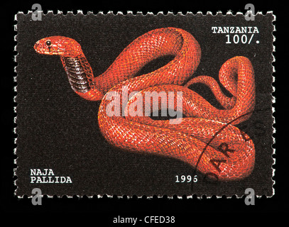 Francobollo dalla Tanzania raffigurante un rosso sputare cobra (Naja pallida) Foto Stock