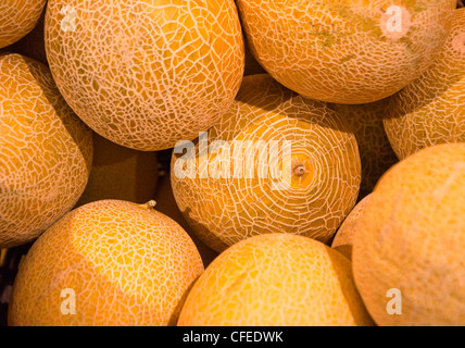 Melone Meloni in vendita. Foto Stock