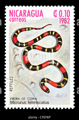 Francobollo dal Nicaragua raffigurante un Sud Americana coral snake (Micrurus lemniscatus) Foto Stock