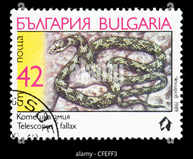 Francobollo dalla Bulgaria raffigurante un gatto europeo Snake (Telescopus fallax) Foto Stock