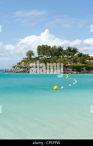 Cordata fuori area nuoto nei Caraibi, Grand Case Saint-Martin, West Indies Foto Stock