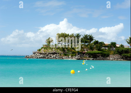 Cordata fuori area nuoto nei Caraibi, Grand Case, Saint-Martin, West Indies Foto Stock