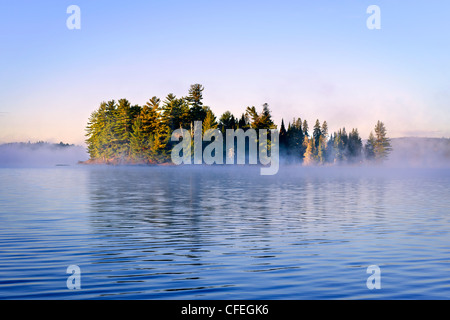Isola con alberi di pino nella nebbia mattutina sul lago di sunrise Foto Stock