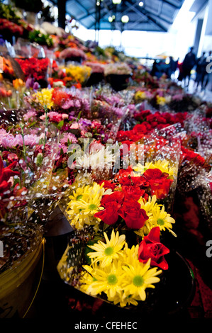 Città del Capo Trafalgar luogo Adderley Street il mercato dei fiori, Città del Capo Sud Africa Foto Stock