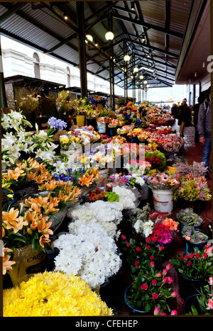 Città del Capo Trafalgar luogo Adderley Street il mercato dei fiori, Città del Capo Sud Africa Foto Stock