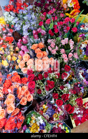 Le Rose in Città del Capo Trafalgar luogo Adderley Street il mercato dei fiori, Città del Capo Sud Africa Foto Stock