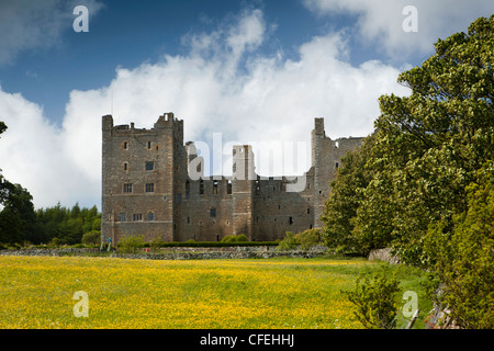 Regno Unito, Inghilterra, Yorkshire, Wensleydale, Castello Bolton, attraverso buttercup-riempito prato Foto Stock