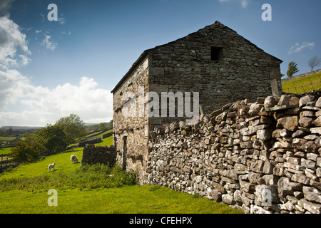 Regno Unito, Inghilterra, Yorkshire, Wensleydale, Askrigg, campo di pietra fienile Foto Stock