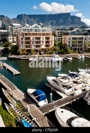 La Montagna della Tavola da Cape Grace Hotel presso il Victoria and Alfred Waterfront Foto Stock