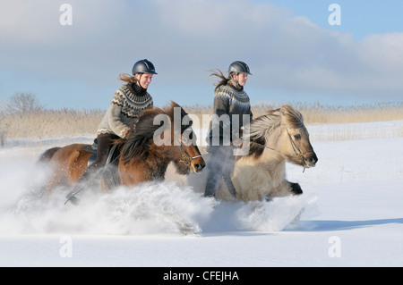Due giovani piloti su islandese di cavalli al galoppo nella neve profonda Foto Stock