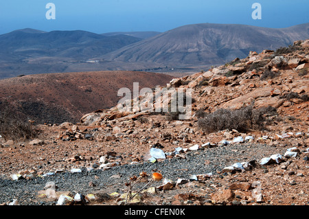 Isole Canarie Fuerteventura betencuria parco nazionale di scenari mozzafiato Foto Stock