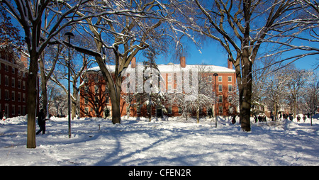 Rosso mattone edificio dormitorio in coperta di neve Harvard Yard, il vecchio centro di Harvard University campus di Cambridge, MA. Foto Stock
