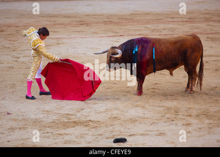 La corrida, Plaza de Toros, San Fermin Fiesta, Pamplona, Navarra, Spagna, Europa Foto Stock