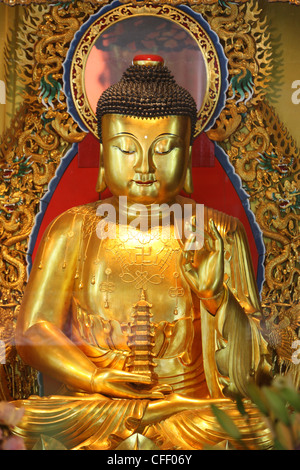 Shakyamuni Buddha statua nella sala principale, il Monastero Po Lin, Tung Chung, Hong Kong, Cina, Asia Foto Stock