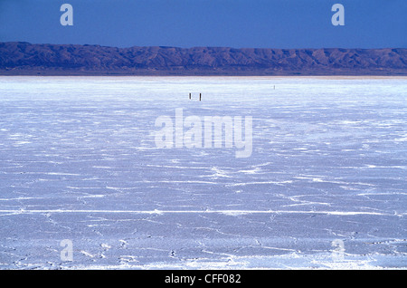 Chott el Djerid, Tozeur, Tunisia, Africa Settentrionale, Africa Foto Stock